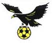 site eagles gaillard